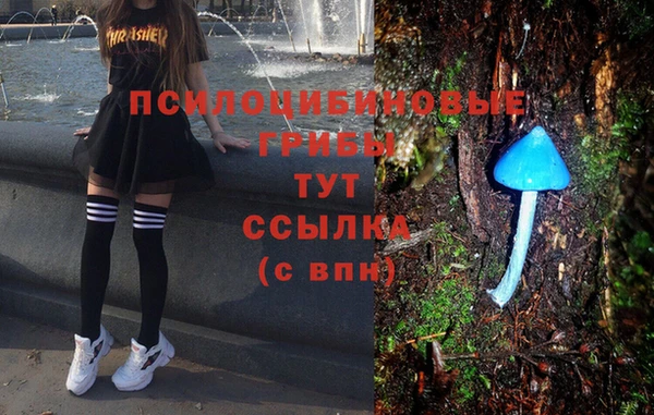 ГАЛЛЮЦИНОГЕННЫЕ ГРИБЫ Верхний Тагил