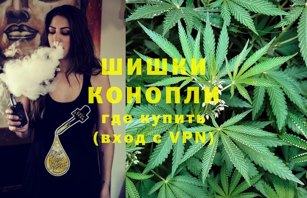 ГАЛЛЮЦИНОГЕННЫЕ ГРИБЫ Верхний Тагил