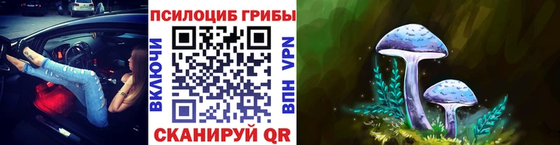 Галлюциногенные грибы Cubensis  дарнет шоп  darknet телеграм  Каргат 